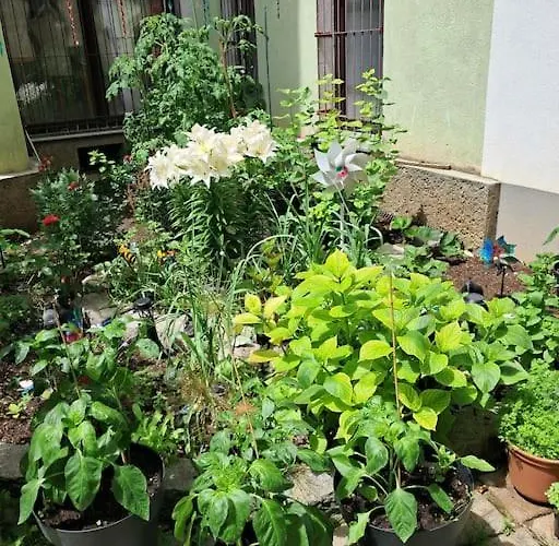 Gesamte In Wien, Oesterreich Apartment *